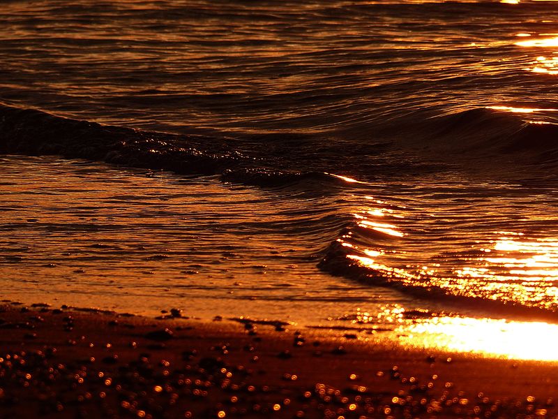 File:Crepúsculo en la playa del Torn.JPG