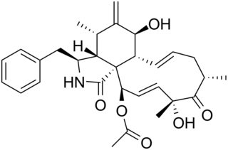 <span class="mw-page-title-main">Cytochalasin D</span> Chemical compound