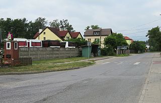Domaniew, Masovian Voivodeship Village in Masovian, Poland