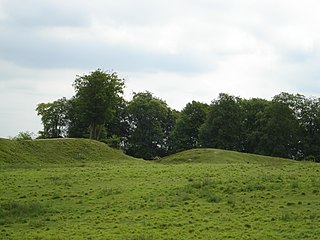 <span class="mw-page-title-main">Danebury Hill</span> UK Site of Special Scientific Interest