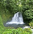 Danta Falls (Chato Volcano, Arenal Volcano National Park, Costa Rica, Central America) (26724386008).jpg