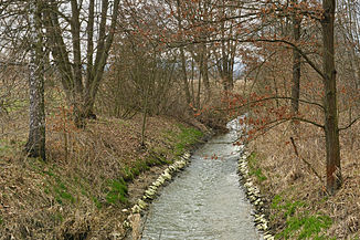 The Dehtářský potok between the ponds Černiš and Dasenský rybník