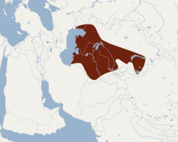 Répartition du Diplomesodon pulchellum.png