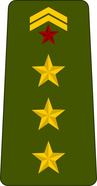 File:Djibouti-Army-OF-2.svg