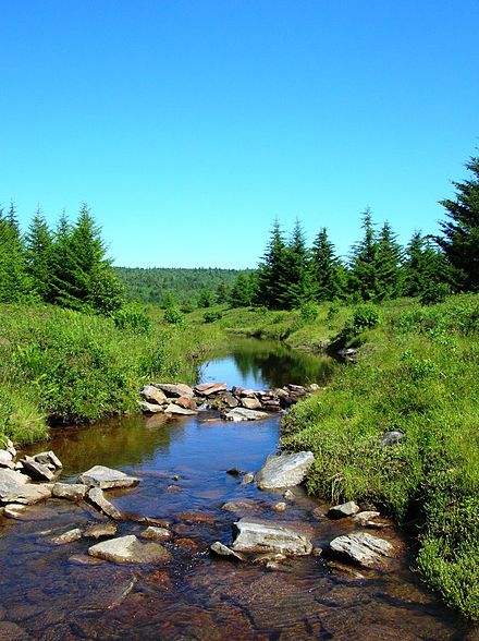 Red Creek west of the crest of the Allegheny Front in the Dolly Sods area of West Virginia; the creek originates along the Eastern Continental Divide, with its waters flowing to the Gulf of Mexico as part of the Ohio River watershed.