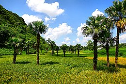 Provincie Tuyen Quang - Uitzicht