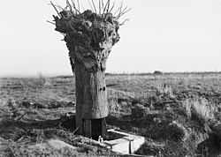 A large stubby object resembling a tree trunk stands in a grassy field, devoid of leaves and branches. At the base is a door-like opening and some wooden form-work.