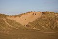 Dunes formades a la platja.