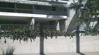 Detalle de los pilotis en V en la planta baja.