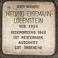 wikimedia_commons=File:Eisemann-Löbenstein, Hedwig - Jozef Israëlsstraat 22A.jpg