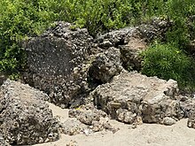 Eroded Mosque ruin of Unguja Ukuu Historic site, Kusini DC, South Zanzibar, Tanzania.jpg