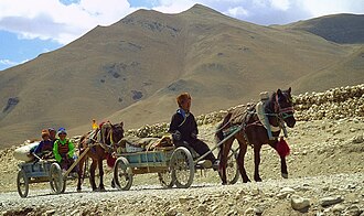 Domestication of mammals provided society with power for transport. Family driving to Pedruk.jpg