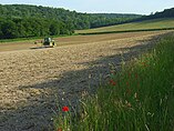 Agriculture in England