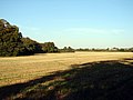 Field of stubble at Oughtonhead Farm - geograph.org.uk - 245120.jpg