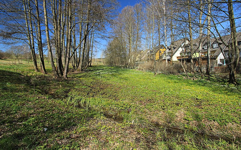 File:Flächennaturdenkmal Gläser-Wiese in Dorfchemnitz, Sachsen 2H1A8785WI.jpg