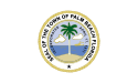 Palm Beach - Steagul