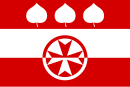 Flag af Slaník