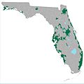 Florida Urbanized Areas.jpg