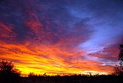 Aram-temaram sebelum Matahari terbit, Landers, California.