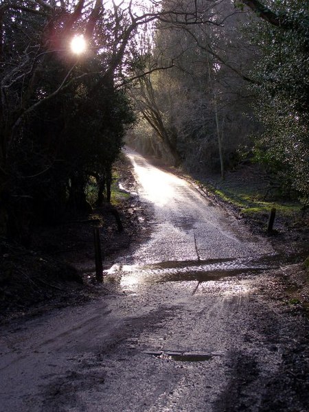 File:Ford on the lane to Acres Down House, New Forest - geograph.org.uk - 316832.jpg