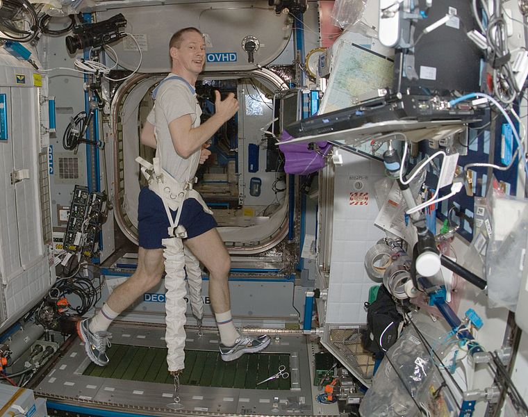 File:Frank De Winne on treadmill cropped.jpg