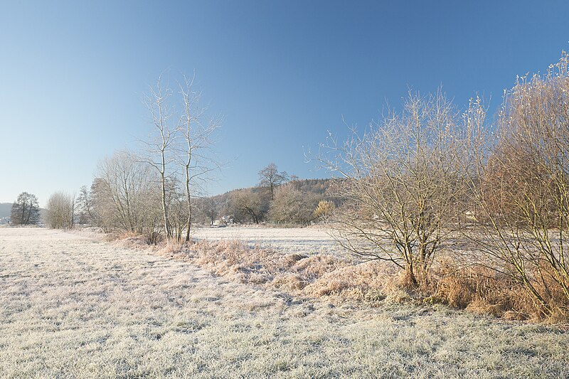 File:Frosty Morning (185552515).jpeg