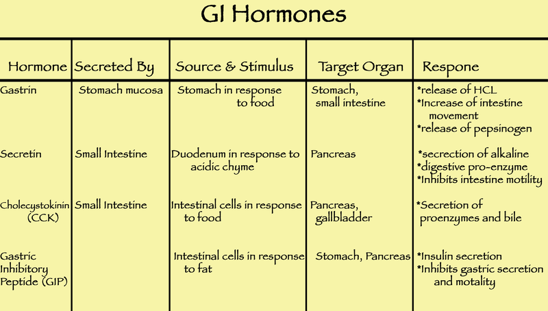 File:GI Hormones.png