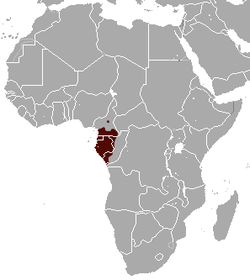 Gabon Talapoin area.png