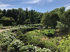 Passeggiata in giardino.jpg