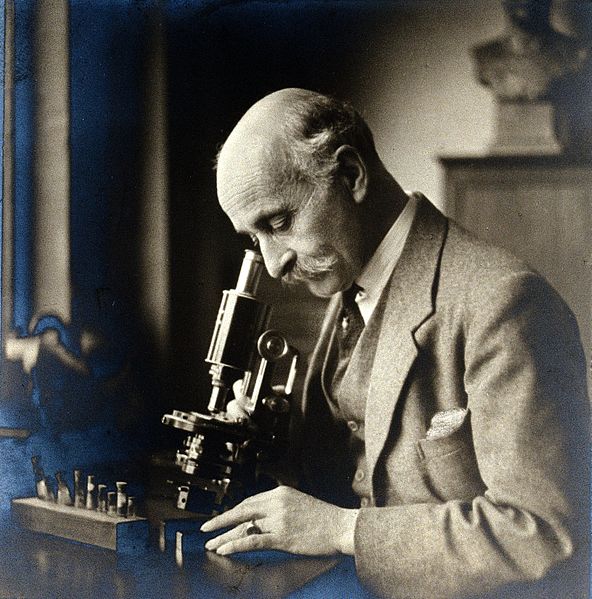 File:George Henry Falkiner Nuttall. Photograph by T. Whitlock, 19 Wellcome V0027749.jpg