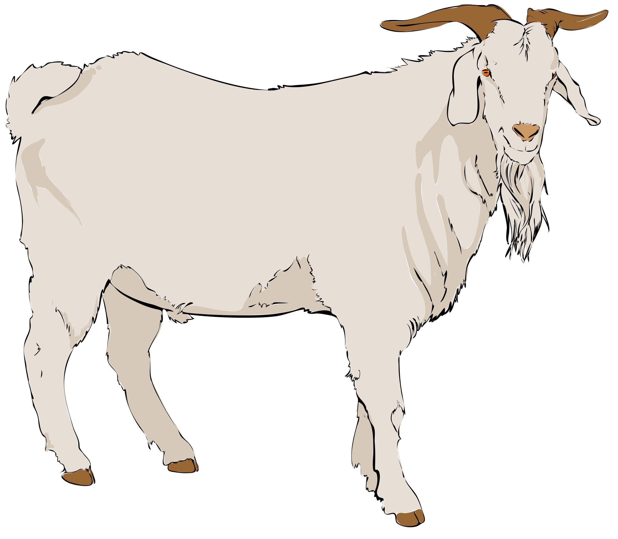 goat png