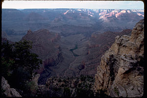 Grand Canyon National Park GRCA4259.jpg