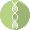 Green DNA icon.svg