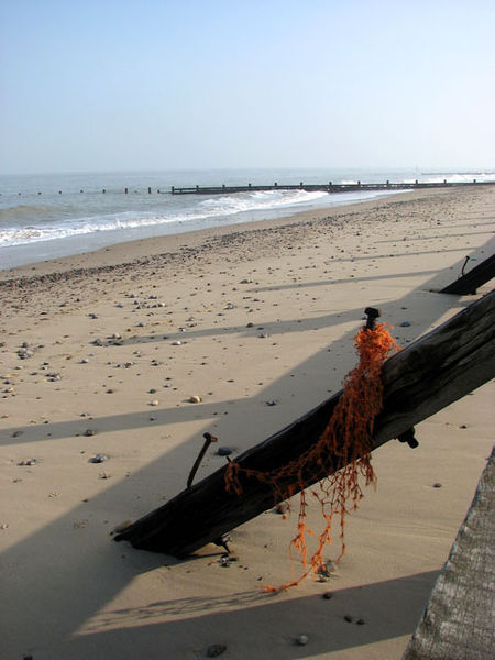 File:Groynes on the beach - geograph.org.uk - 1034445.jpg