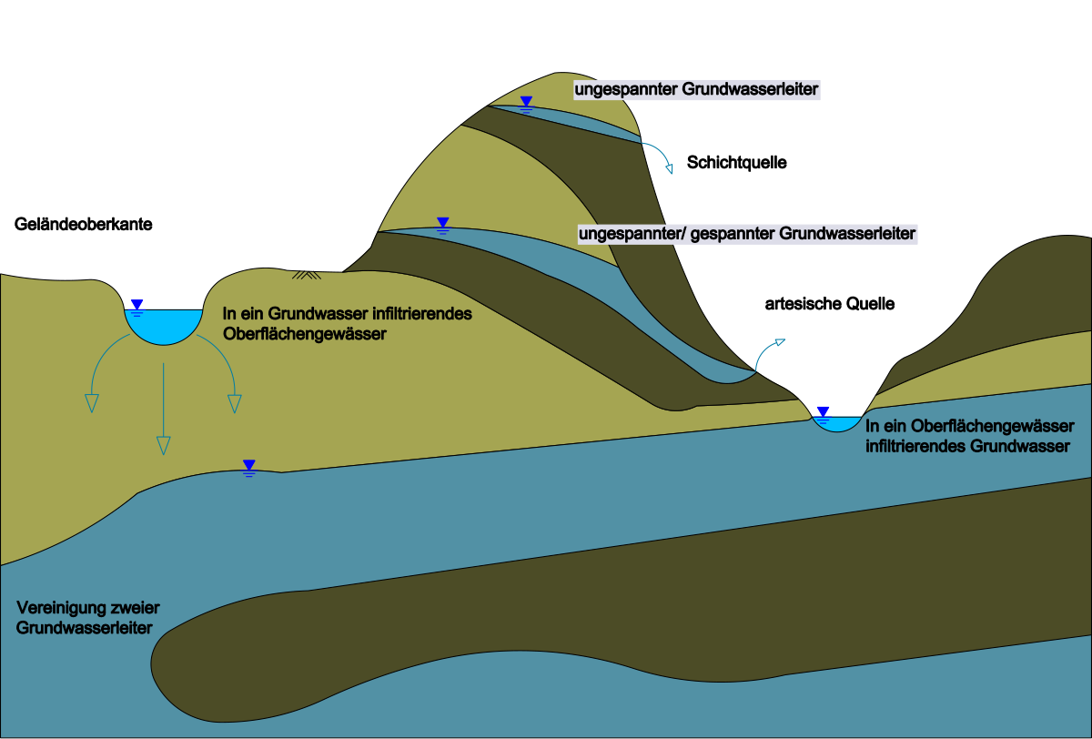 Место выхода подземных вод на поверхность. Грунтовые воды. Grundwasser. Водоносные слои Покрова. Berg разрез.