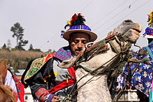 Guatemalan horse with compression of the lower jaw, caused by the rider's hands on the reins connected to its chain bit Guatemala todos santos 2985a.jpg