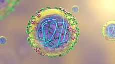 Structure of H1N1 Virion. H1N1 virus.jpg