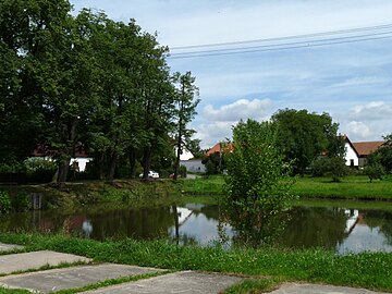 Étang au centre de Heřmaň.