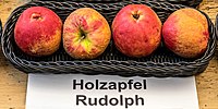 Crabapple Rudolph jm55196.jpg