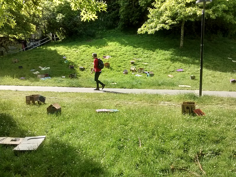 File:Houses in Aro Valley Park.jpg