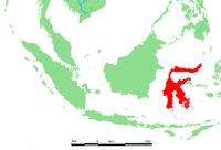 ID - Sulawesi.png
