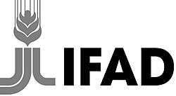 IFAD logo.jpg
