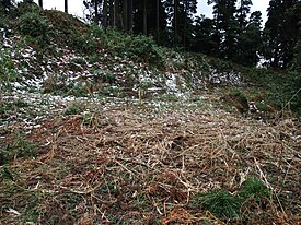 飯久保城 主郭と見張台