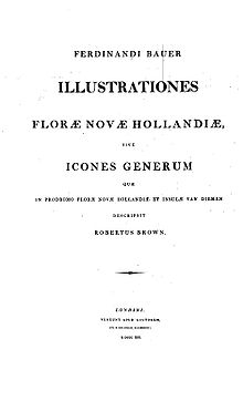 Frontispiece Illustrationes Florae Novae Hollandiae frontispiece.jpg