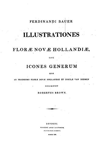 <i>Illustrationes Florae Novae Hollandiae</i>