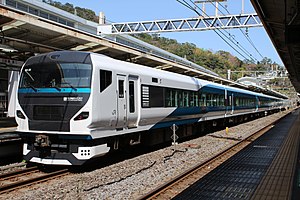 JR Est E257-2000 NA-08 Atami Odoriko 20200321.jpg