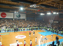 JaneSandanski Arena.png