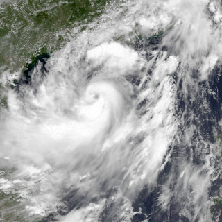 <span class="mw-page-title-main">Tropical Storm Jebi (2013)</span> Pacific severe tropical storm in 2013