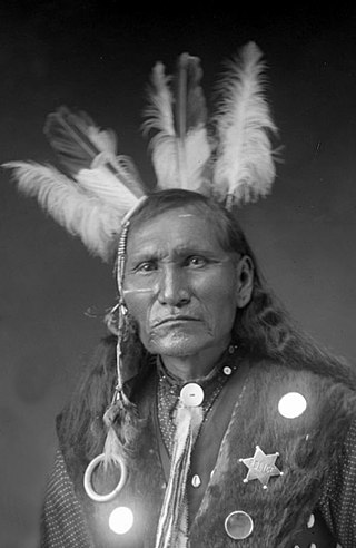 <span class="mw-page-title-main">John Sitting Bull</span> Stepson of Sitting Bull (c.1867–1955)