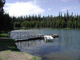 A metal and wooden dock and a small white boat floating beside in shallow water, with evergreen trees in the background